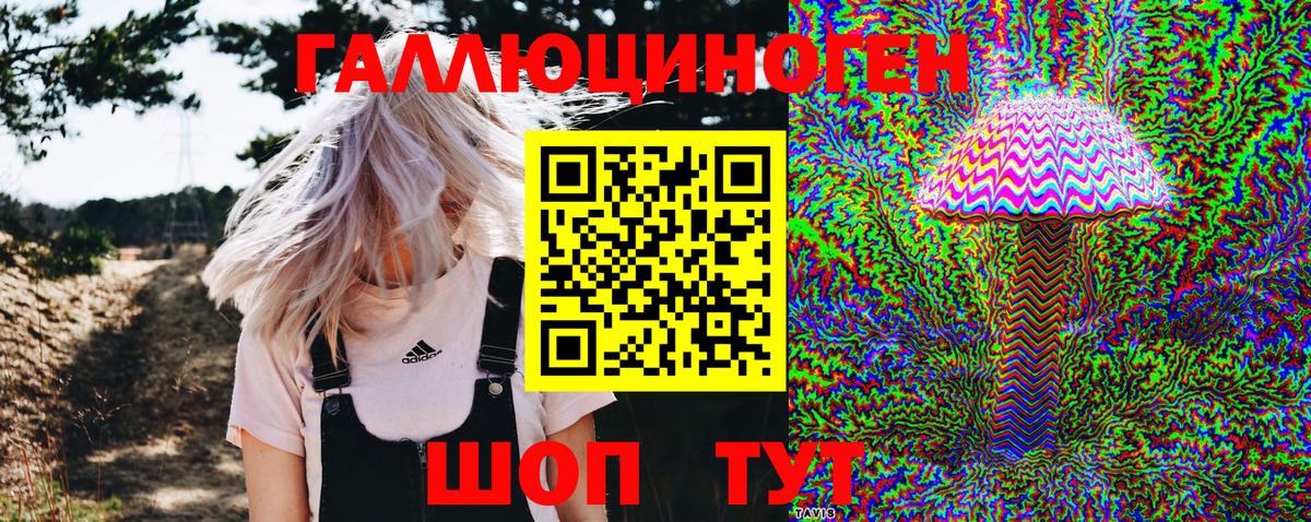 Псилоцибиновые грибы мицелий Свободный